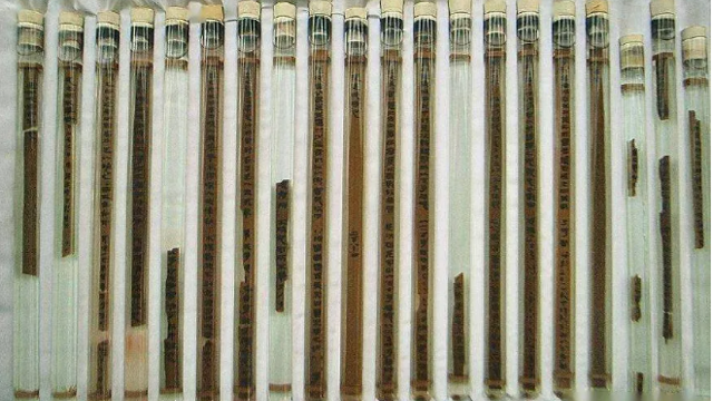 有點(diǎn)兒意思！古代保密智慧超乎你的想象！